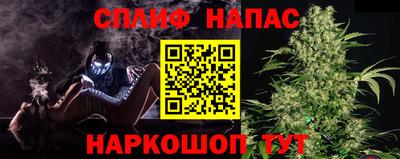 mdpv Владикавказ