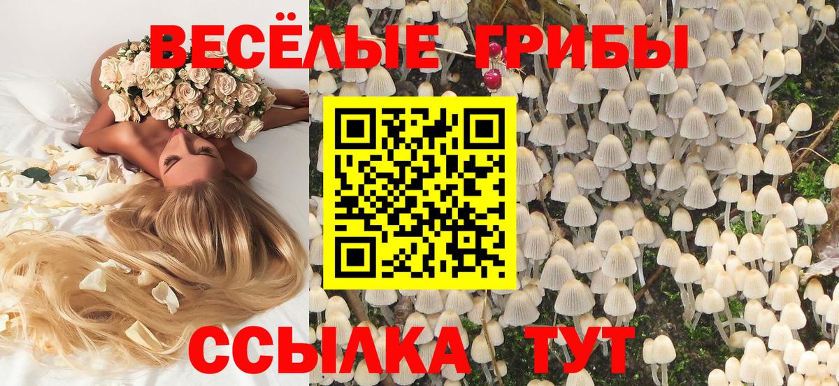 МЕФ кристаллы  Канабис  А ПВП СК   LSD-25  Вход с VPN  КЕТАМИН  Белогорск  ЭКСТАЗИ  ГАШИШ 
