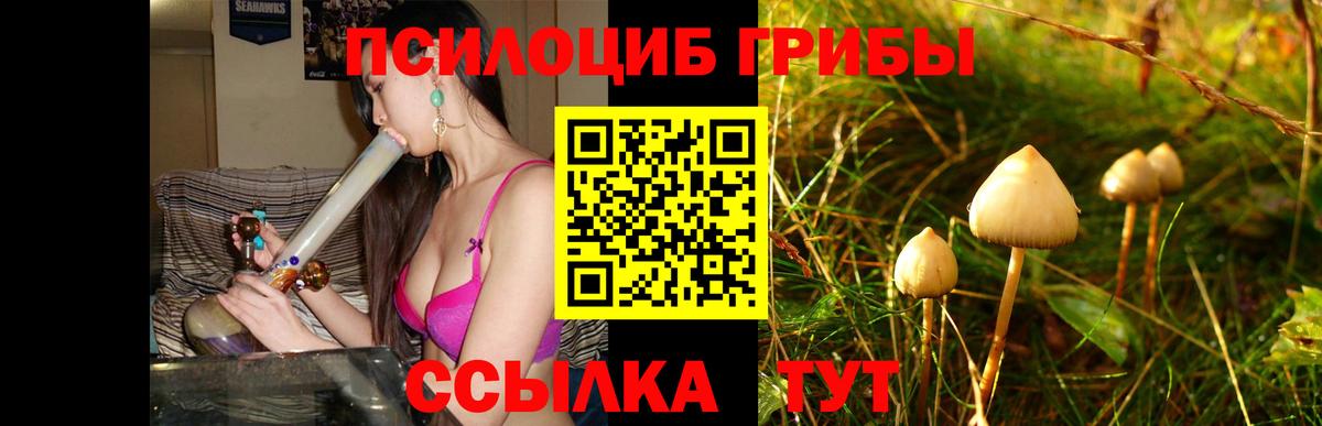 Галлюциногенные грибы Psilocybe  Вход с VPN  Белогорск 